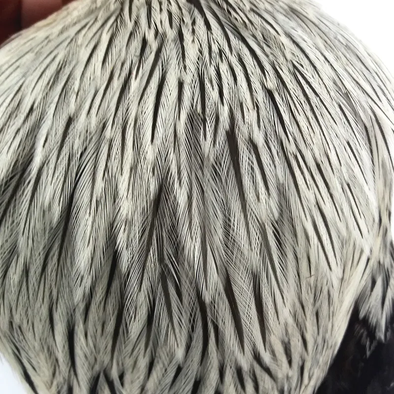 The Lakeland Brahma Rooster Cape in Natural Silver Badger
