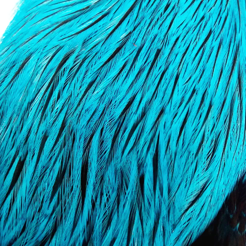 The Lakeland Brahma Rooster Cape in Silver Badger Dyed Silver Dr.Blue from Whiting Farms-7