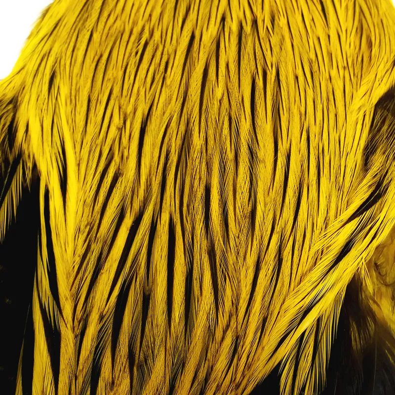 The Lakeland Brahma Rooster Cape in Silver Badger Dyed Yellow  from Whiting Farms-2