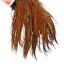 Whiting Rooster Saddle in Furnace