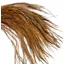 Whiting Rooster Saddle in Honey Dun
