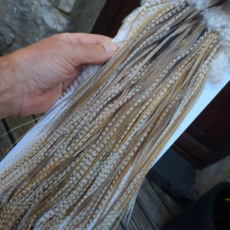 Whiting Heritage Hackles Rooster Saddle in Mixed Colours A Dun Grizzly/Golden Badger/Tan Dun/Brown Dun Tying Approx Tying Sizes 8/10/12 odd 14-6