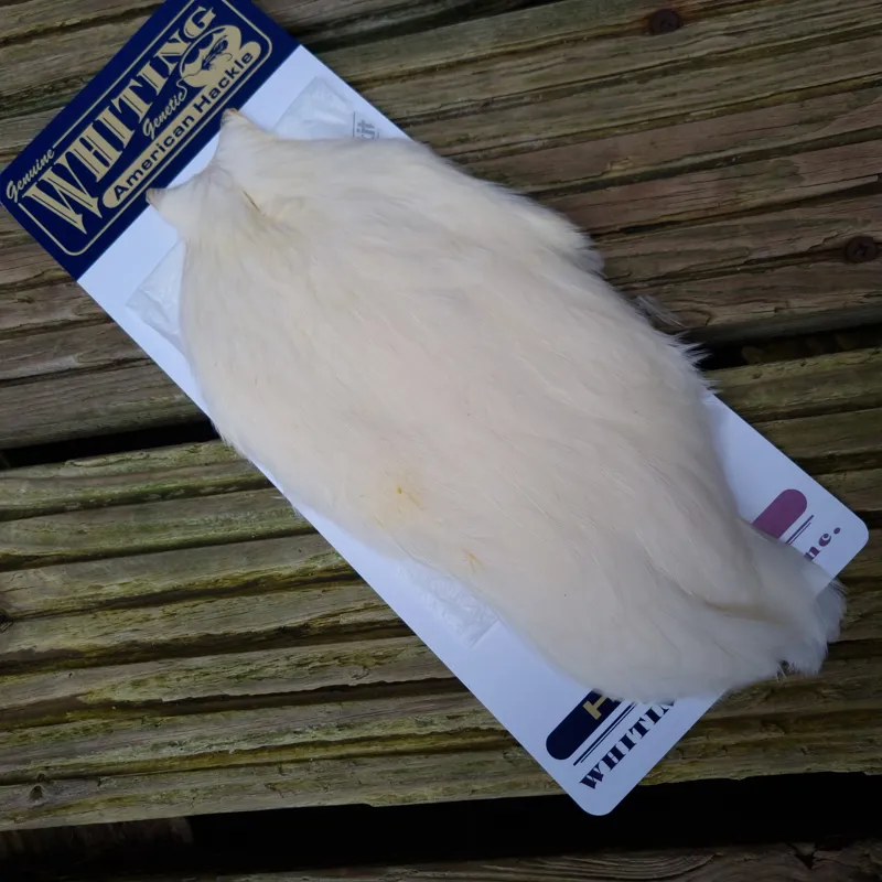 Whiting American Hen Cape in White-4