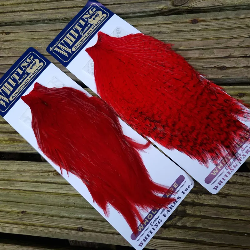 Whiting American Rooster Cape in Red