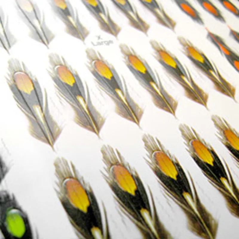 World Class Jungle Cock Substitute