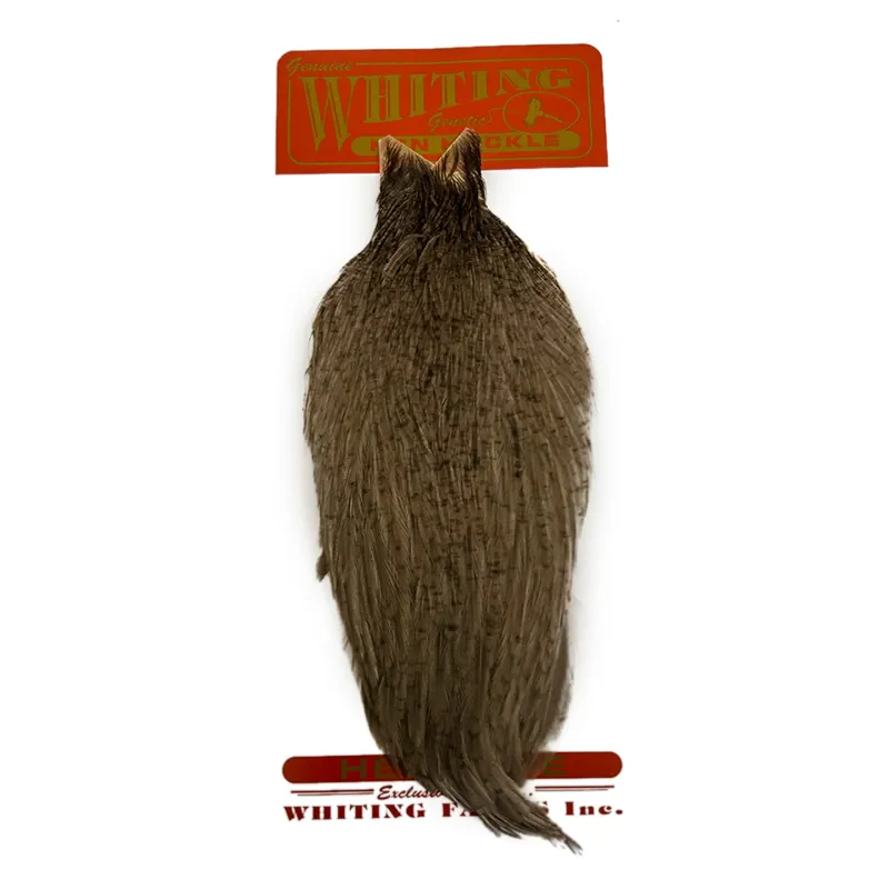 Whiting Hen Cape in Natural Medium Dun-2