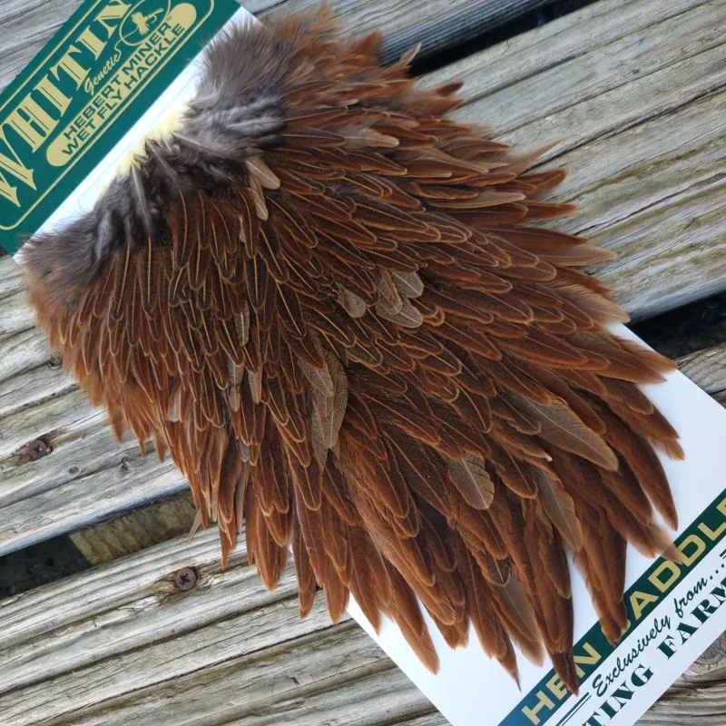 Whiting Hebert Miner Hen Saddle in Wild Type Brown B-2