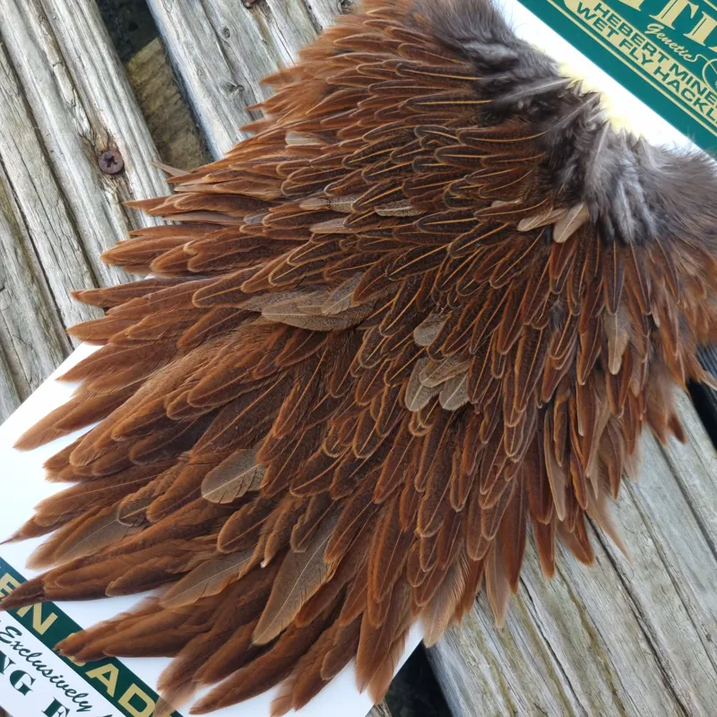 Whiting Hebert Miner Hen Saddle in Wild Type Brown B-3