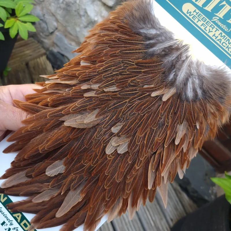 Whiting Hebert Miner Hen Saddle in Wild Type Brown B-1