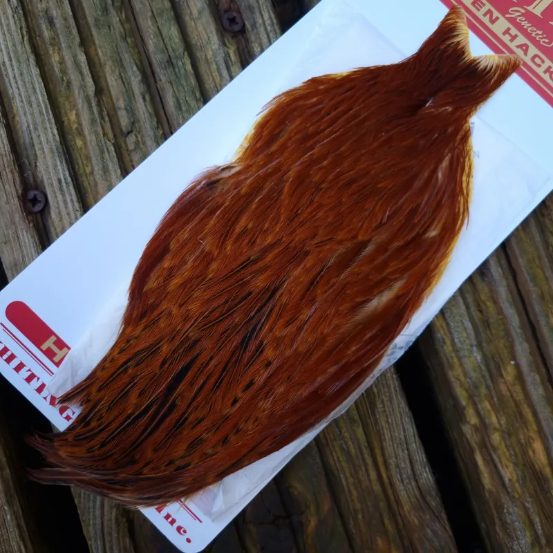 Whiting Hen Cape in Brown A Red Game/Furnace