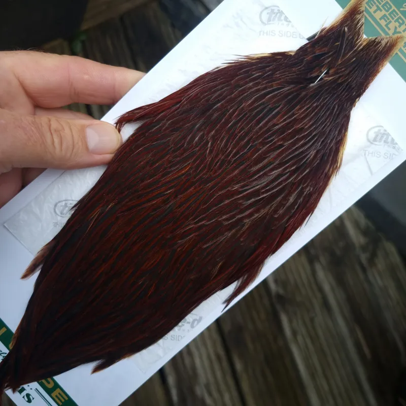 Whiting Hebert Miner Hen Cape in Brown A Dark Furnace