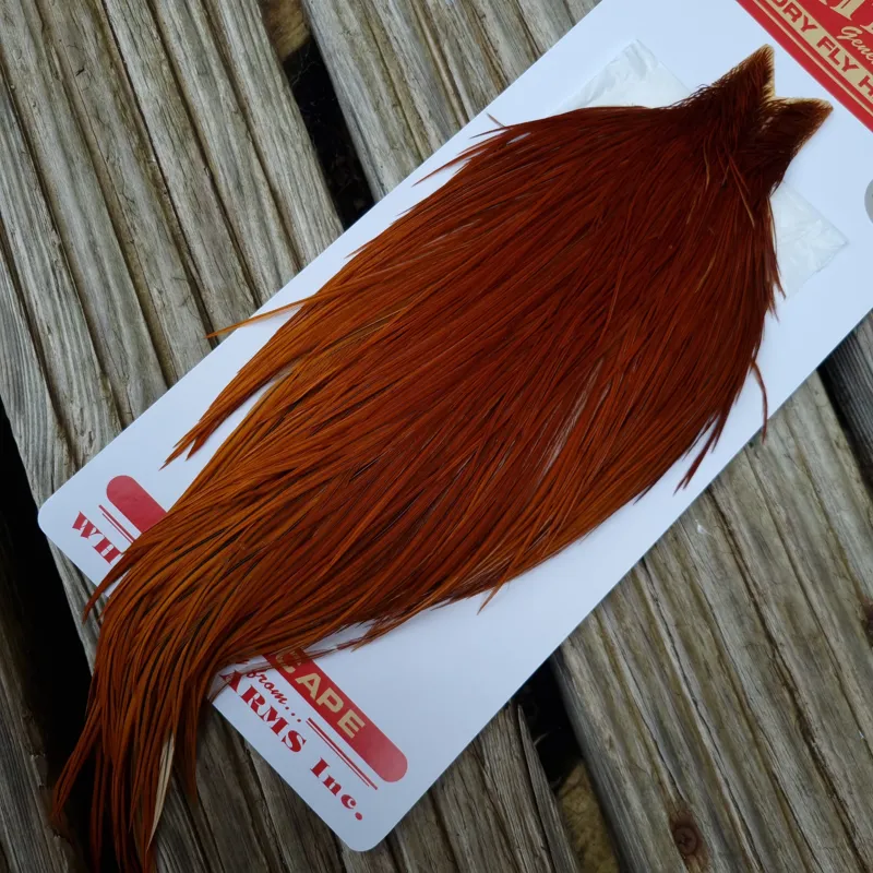 Whiting Pro-Grade Dry Fly Rooster Cape in Brown B