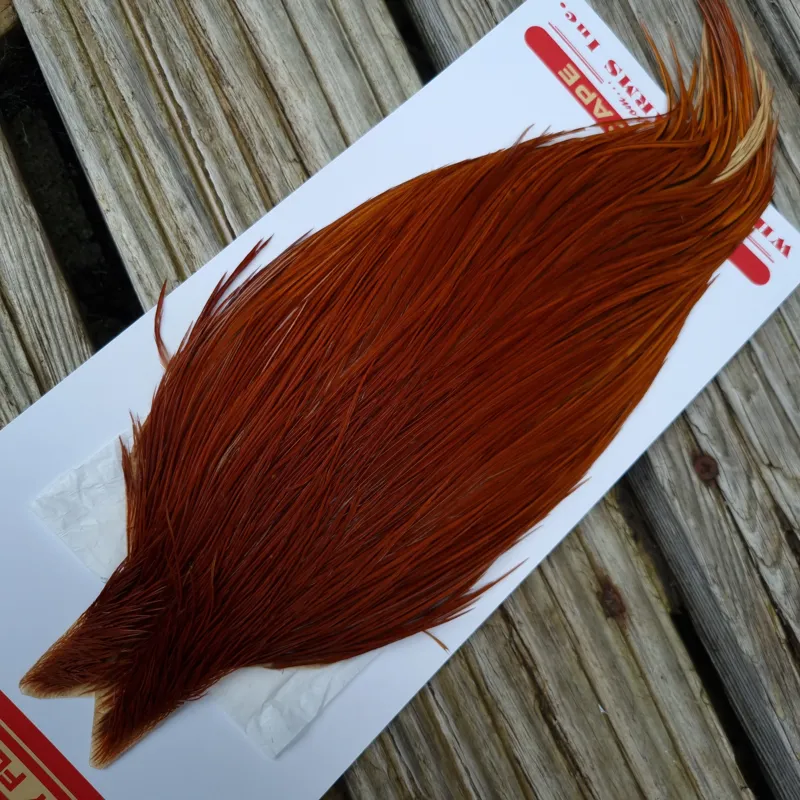Whiting Pro-Grade Dry Fly Rooster Cape in Brown B-1