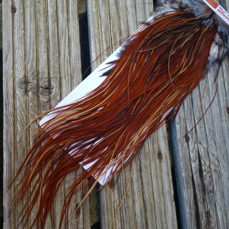 Whiting PRO-GRADE Dry Fly Rooster Saddle in Brown/Medium Red Game B Approx Tying Sizes 12/14/16-1