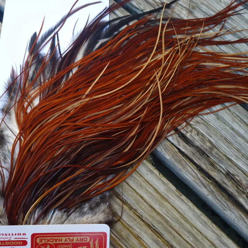 Whiting PRO-GRADE Dry Fly Rooster Saddle in Brown/Medium Red Game B Approx Tying Sizes 12/14/16-2