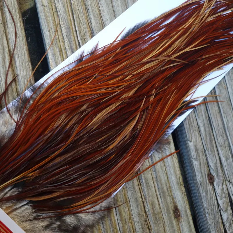 Whiting PRO-GRADE Dry Fly Rooster Saddle in Brown/Medium Red Game B Approx Tying Sizes 12/14/16-3