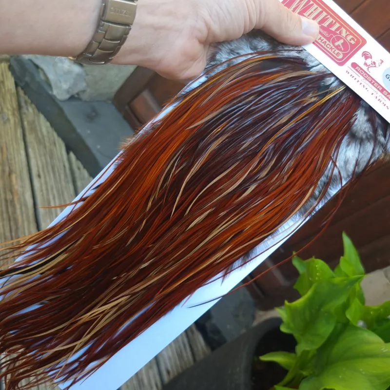 Whiting PRO-GRADE Dry Fly Rooster Saddle in Brown/Medium Red Game B Approx Tying Sizes 12/14/16-5