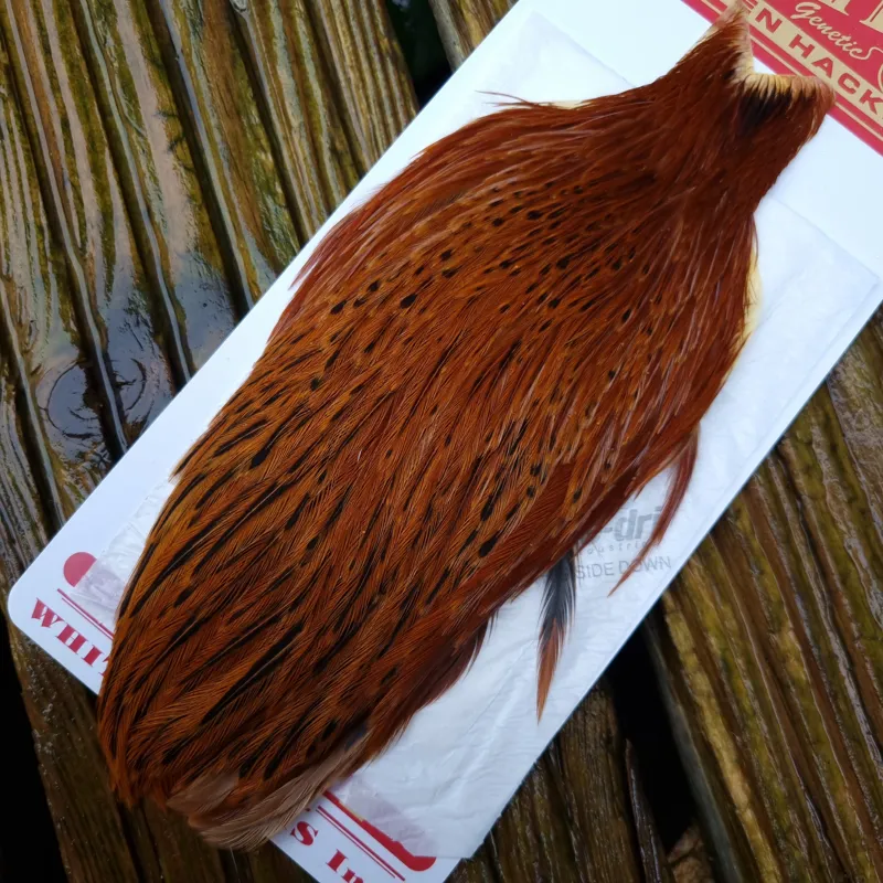 Whiting Hen Cape in Brown C Red Game/Splashed Red Game/Furnace-1
