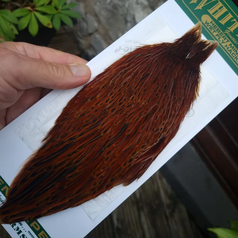 Whiting Hebert Miner Hen Cape in Brown C Red Game/ Furnace