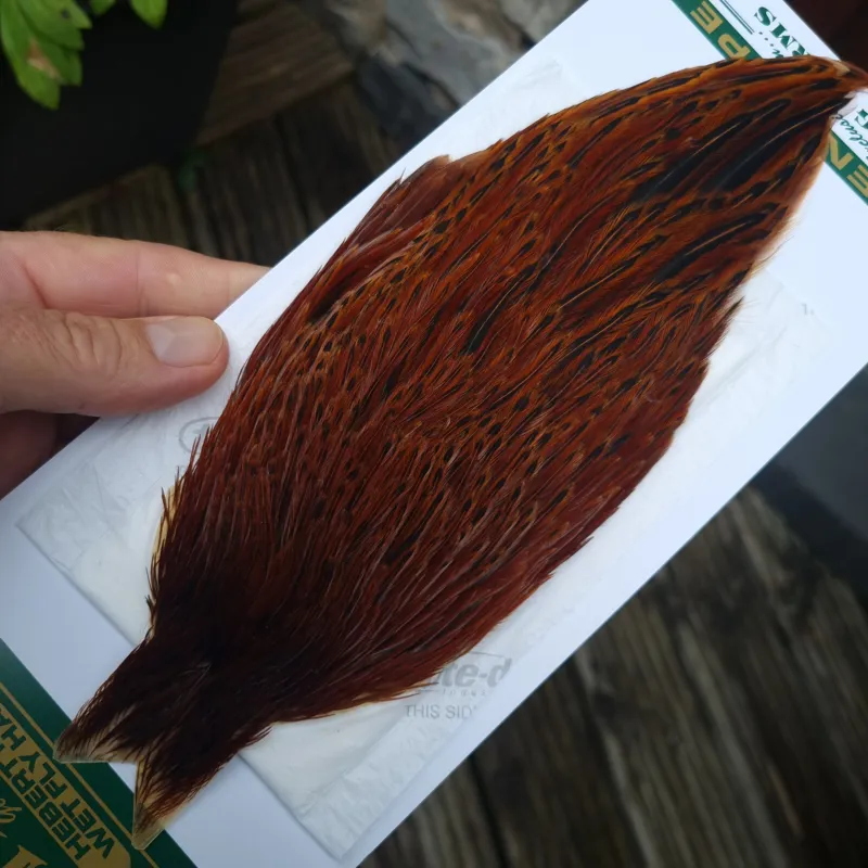 Whiting Hebert Miner Hen Cape in Brown C Red Game/ Furnace-1