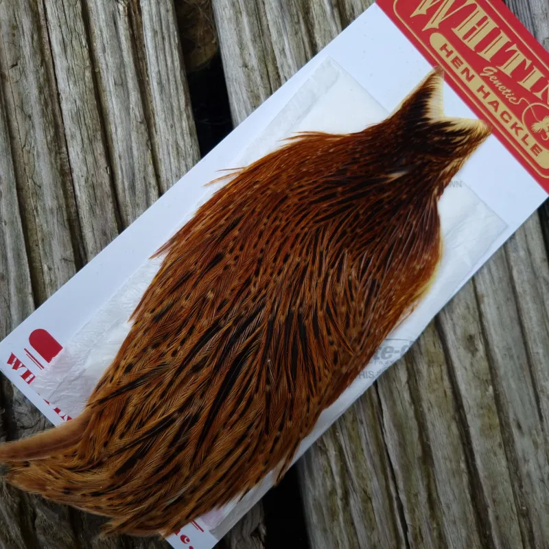 Whiting Hen Cape in Brown Red Game D