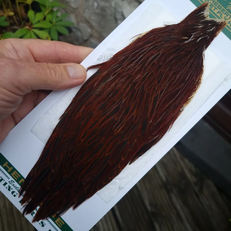 Whiting Hebert Miner Hen Cape in Brown D Furnace