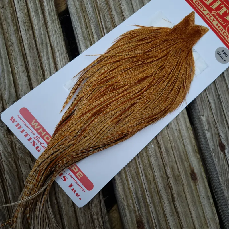 Whiting Pro-Grade Dry Fly Rooster Cape in Barred Dark Ginger B