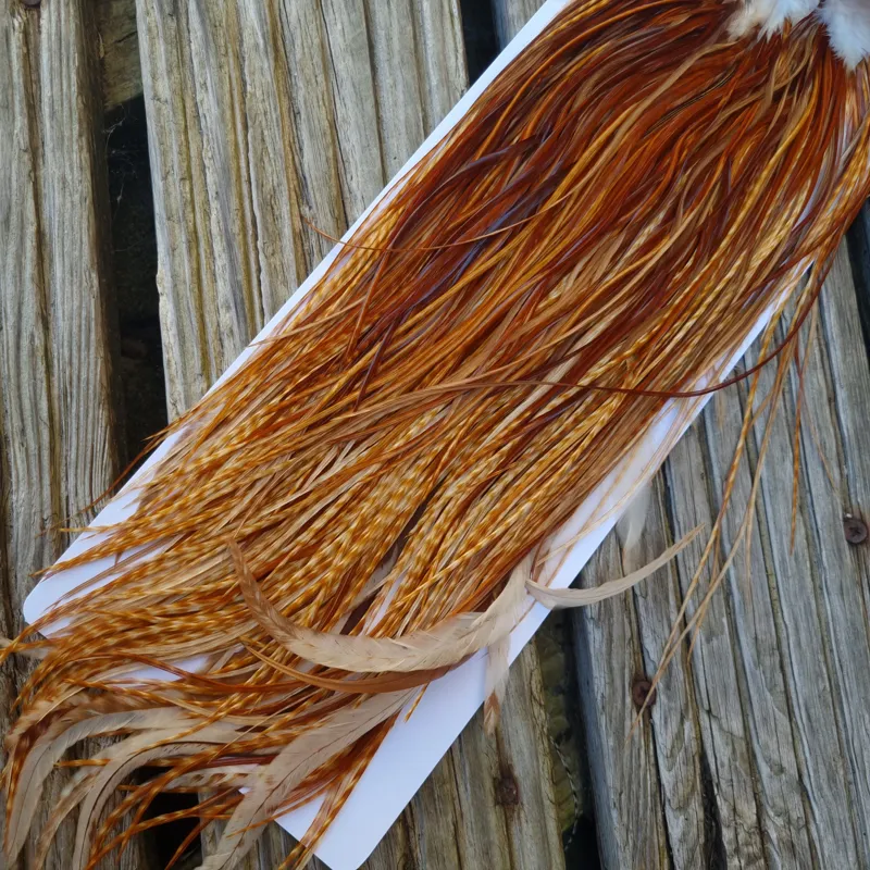 Whiting Pro-Grade Dry Fly Rooster Saddle in Barred Dark Ginger B Tying Approx.  12/14/16-4