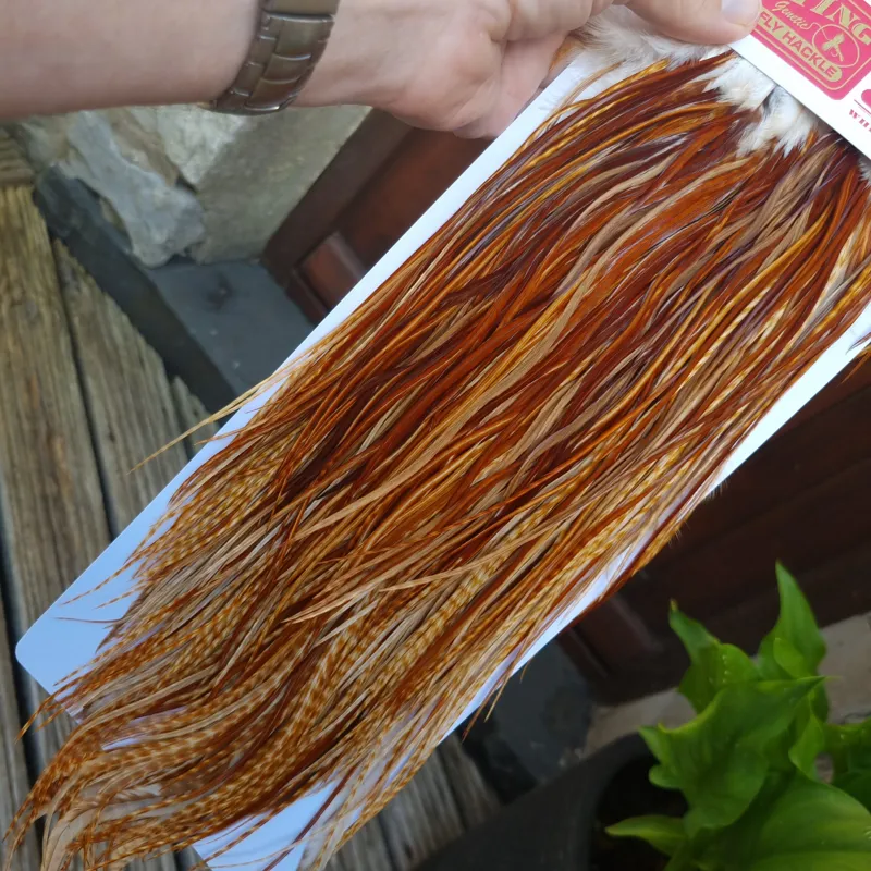Whiting Pro-Grade Dry Fly Rooster Saddle in Barred Dark Ginger B Tying Approx.  12/14/16-1
