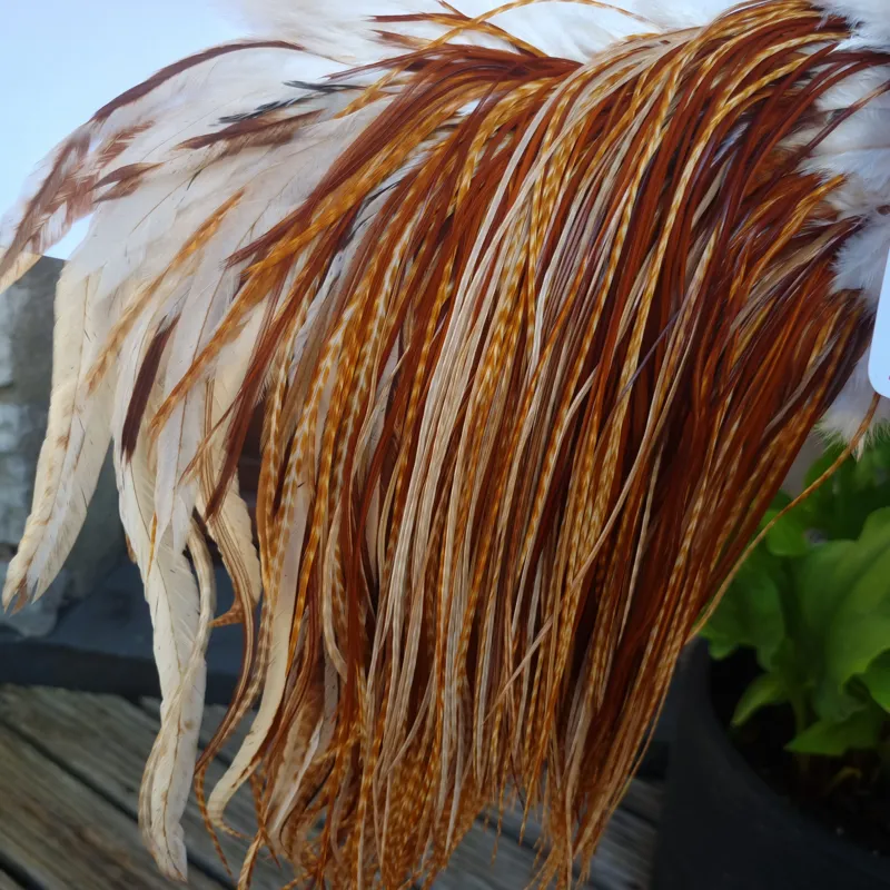 Whiting Pro-Grade Dry Fly Rooster Saddle in Barred Dark Ginger B Tying Approx.  12/14/16-3