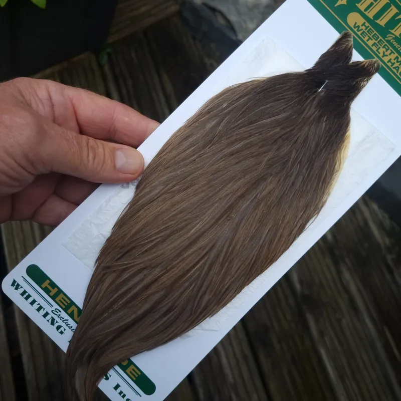 Whiting Hebert Miner Hen Cape in Brown Gray Dun D-1