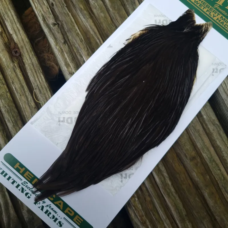 Whiting Hebert Miner Hen Cape in Natural Black B-2