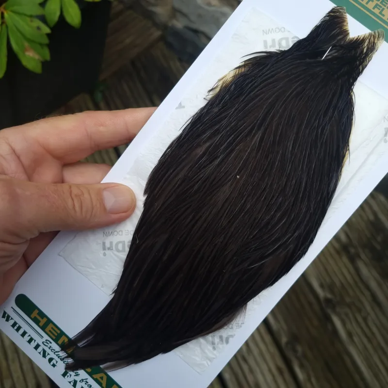 Whiting Hebert Miner Hen Cape in Natural Black B-1