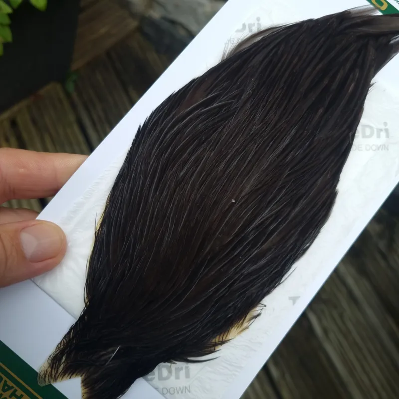 Whiting Hebert Miner Hen Cape in Natural Black B