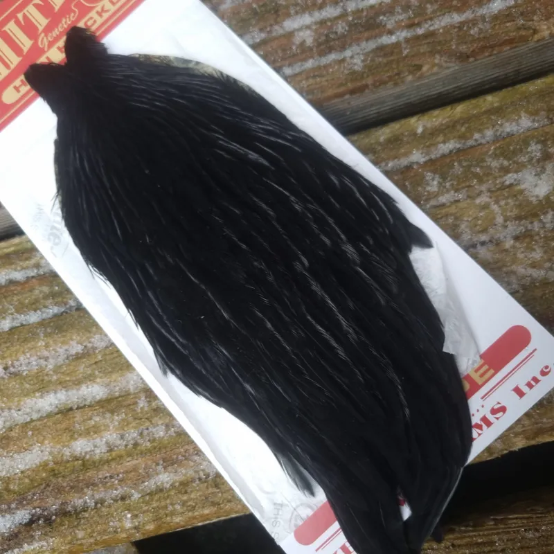 Whiting Hen Cape in Dyed Black A