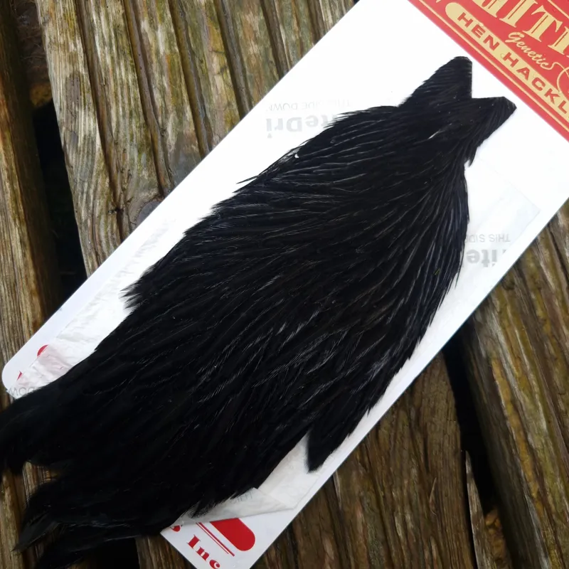 Whiting Hen Cape in Dyed Black D