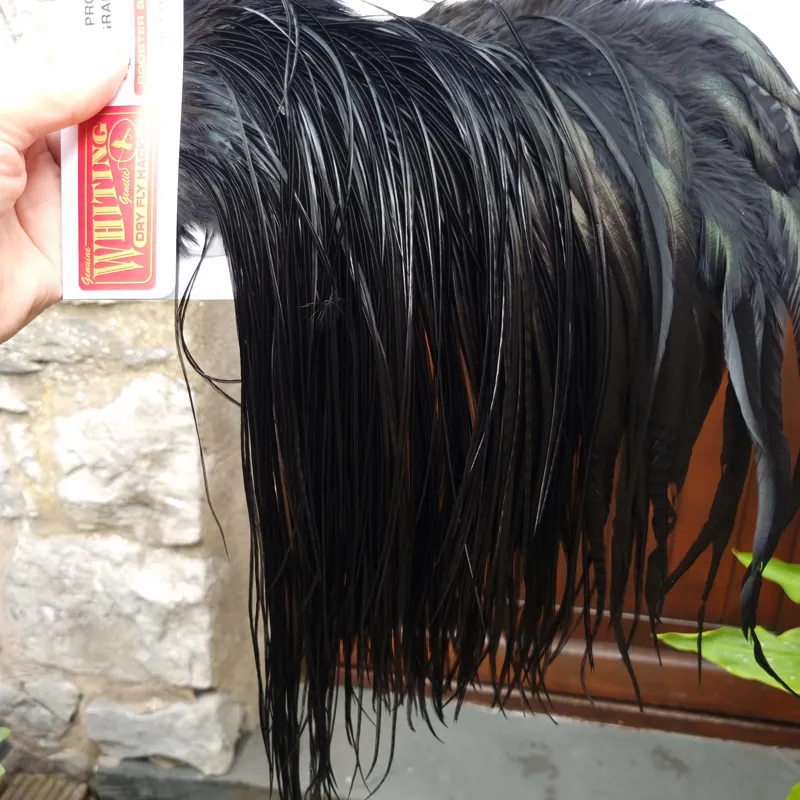 Whiting Pro-Grade Midge Rooster Saddle in Black E Approx Tying Sizes 14 16 some going smaller-3