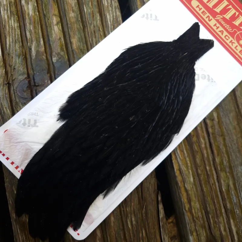 Whiting Hen Cape in Dyed Black F