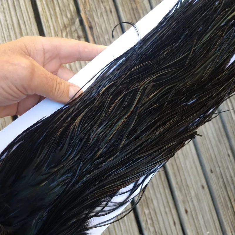 Whiting PRO-GRADE Dry Fly Rooster Saddle in Black B Approx Tying Sizes 10/12/14-3