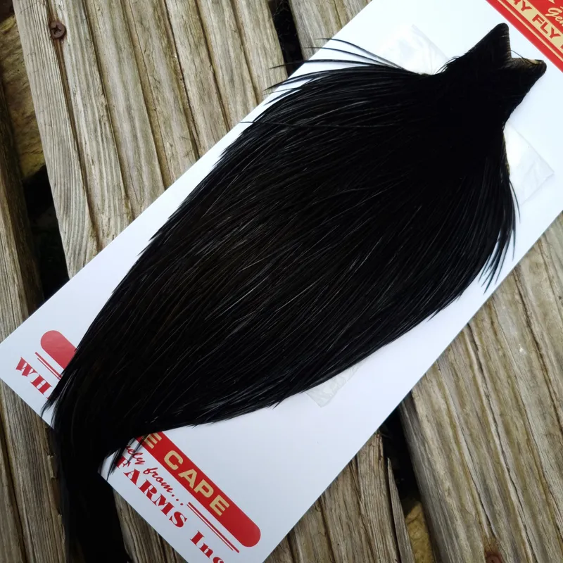 Whiting Pro-Grade Dry Fly Rooster Cape in Black B