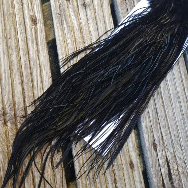 Whiting PRO-GRADE Dry Fly Rooster Saddle in Black B Approx Tying Sizes 10/12/14-5