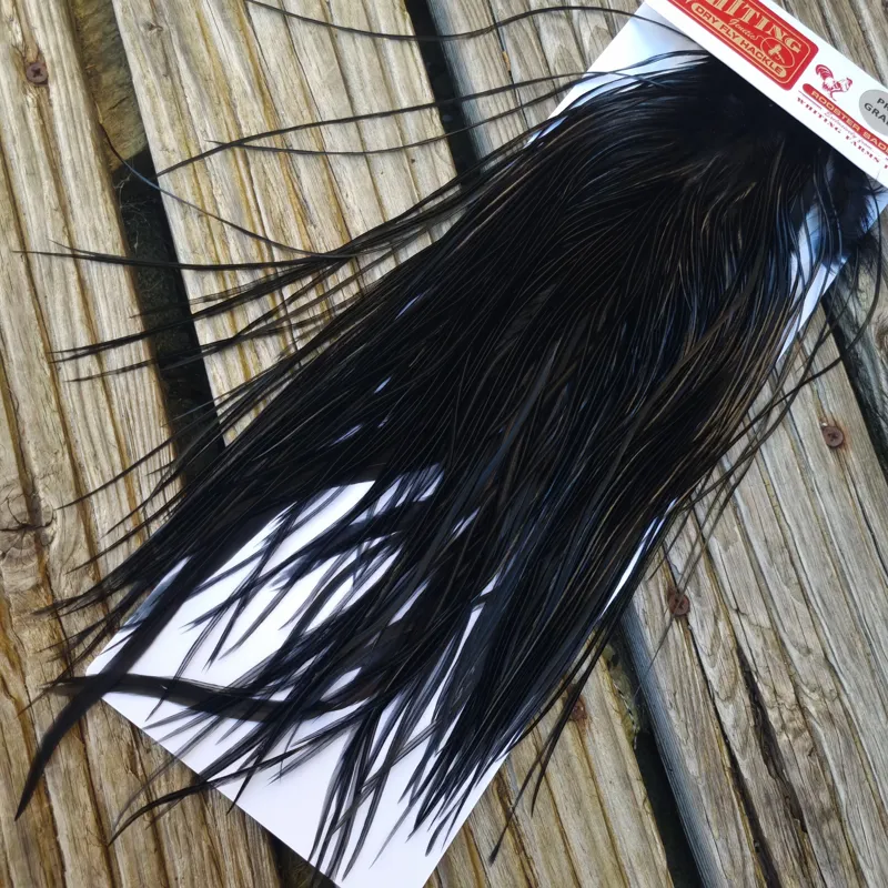 Whiting PRO-GRADE Dry Fly Rooster Saddle in Black C Approx Tying Sizes Rammed with 10/12-1
