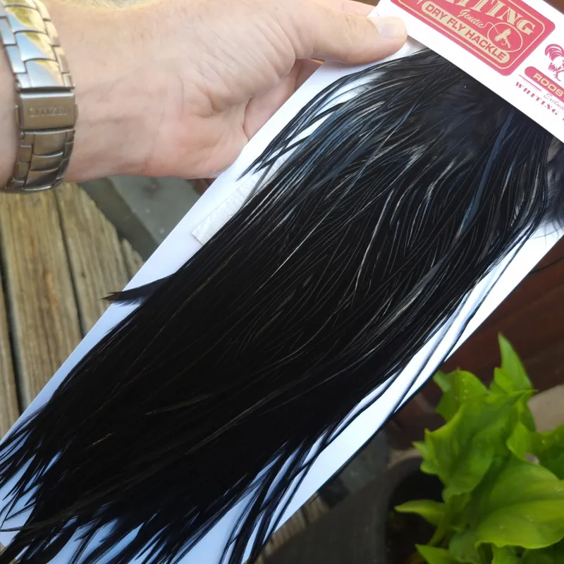 Whiting PRO-GRADE Dry Fly Rooster Saddle in Black C Approx Tying Sizes Rammed with 10/12-4