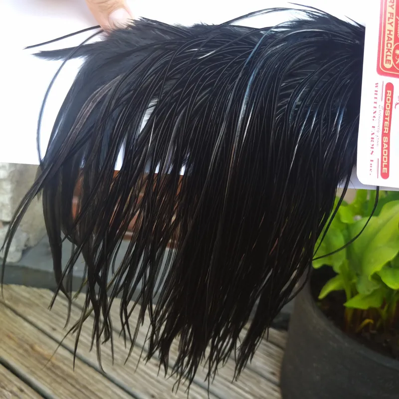 Whiting PRO-GRADE Dry Fly Rooster Saddle in Black C Approx Tying Sizes Rammed with 10/12-5