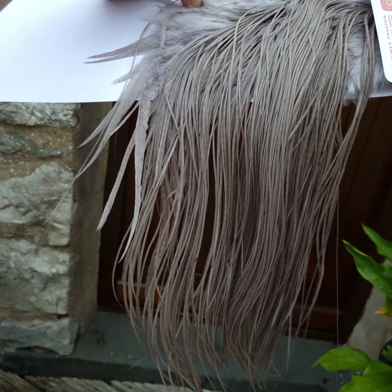 Whiting Bronze Grade Dry Fly Rooster Saddle in Medium Dun A Approx Tying Size 10/12/14/16 with a few going smaller