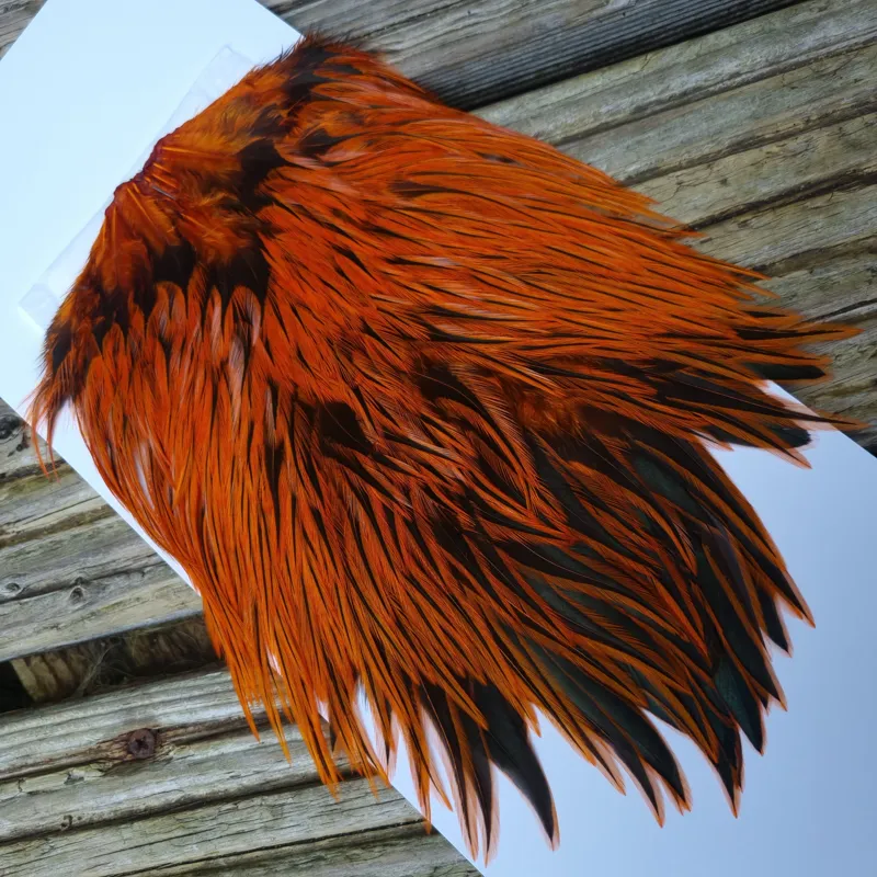 Whiting Brahma Rooster Saddle in Silver Badger Dyed Burnt Orange-3