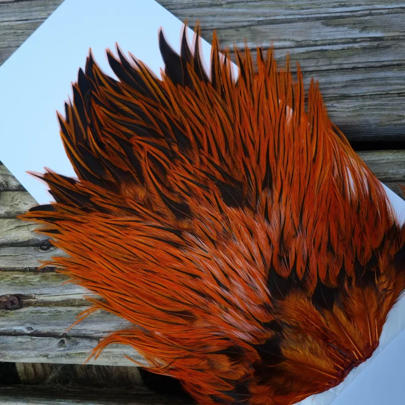 Whiting Brahma Rooster Saddle in Silver Badger Dyed Burnt Orange-4