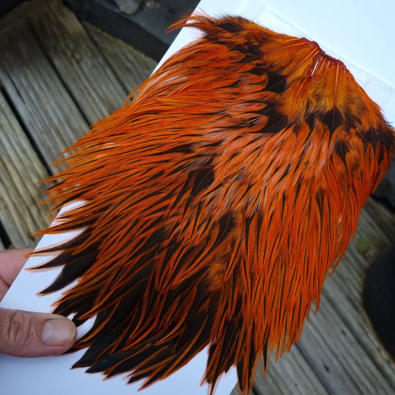 Whiting Brahma Rooster Saddle in Silver Badger Dyed Burnt Orange-2