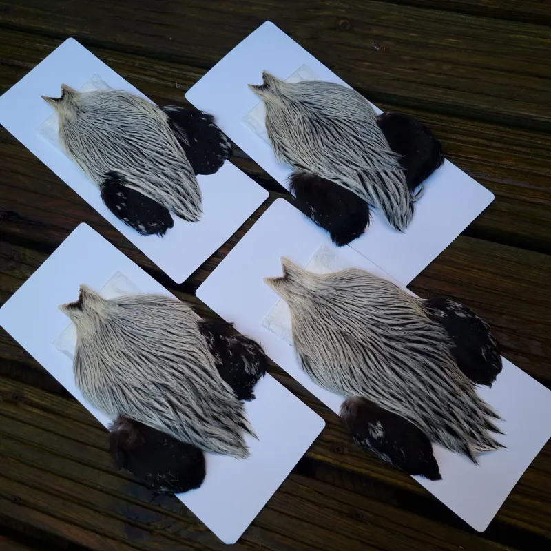 The Lakeland Brahma Rooster Cape in Natural Silver Badger from Whiting Farms -2