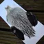 The Lakeland Brahma Rooster Cape in Natural Silver Badger from Whiting Farms
